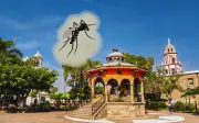 Dengue en Guadalajara: ¿Cuándo llegan los mosquitos y cómo protegerte?