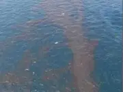 Derrame petrolero en el Golfo: 51 sitios costeros afectados y una crisis de agua