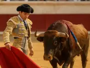 Diputados en Hidalgo buscan declarar la fiesta brava patrimonio cultural