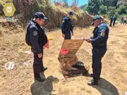 Discrepan cifras de perros muertos en Topilejo: activistas vs autoridades