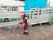 Ecatepec intensifica limpieza urbana con programa 'Sembrando Camellones'