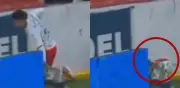 Emilio Lara cae a fosa en pleno partido de Liga MX entre Querétaro y Necaxa