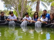 Entregan 3 mil alevines de tilapia a CETMAR 28 en Altata, Sinaloa