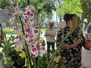 Exposición de orquídeas en museo paleontológico destaca su valor biológico y terapéutico