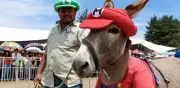 Feria del Burro 2026 en Otumba: Cartel con La Arrolladora y eventos únicos