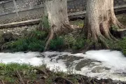 Fuga de Agua en Arroyo de Allende: AYD Anuncia Reparación Urgente