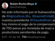 Gobierno de Sinaloa Anuncia Pago de Compensación a Productores de Maíz