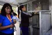 Guadalupe adquiere unidad veterinaria móvil para mascotas