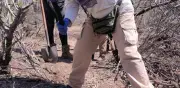 Guerreras Buscadoras hallan 43 osamentas en fosas clandestinas de Guaymas, Sonora