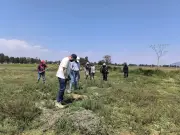 Hallazgo de 219 restos óseos humanos en límites CDMX-Estado de México