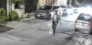 Hombre mata a golpes a su perro en Santa Catarina; vecinos lo denunciaron