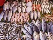 Inflación y cambio de tradiciones desploman consumo de pescado en Semana Santa