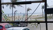 Inicia limpieza masiva de sargazo en costas de Veracruz tras afectar playas turísticas