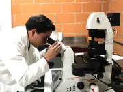 IPN desarrolla medicina personalizada para cáncer infantil y regeneración de tejidos con células madre