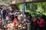La espera para ver a Xin Xin: el panda gigante de Chapultepec que cautiva a México