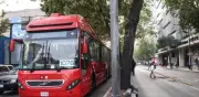 Metrobús CDMX garantiza que Línea 7 mantendrá parabuses sin publicidad comercial