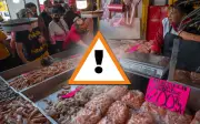 México enfrenta un 40% de fraude en venta de pescado, duplicando el promedio global
