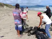 Oceana critica respuesta de Pemex a derrame en Golfo de México como insuficiente