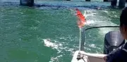 Pemex reporta fuga en ducto de Yucatán; asegura reparación definitiva y sin afectación a playas