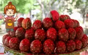 Pitaya: beneficios nutricionales y su impacto en la salud