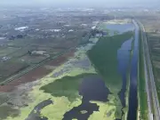 Plan de Restauración del Río Lerma-Santiago Busca Revertir Años de Contaminación