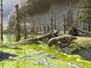 Plantas antiguas sobrevivieron a la extinción masiva con innovación fotosintética