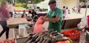 Profeco detecta variación extrema en precios del pescado sierra durante Cuaresma