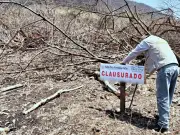 Profepa clausura predio en Morelos por desmonte ilegal para cultivo de agave