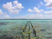 Propuesta: Cambiar nombre de Quintana Roo a Estado Vicario por justicia feminista