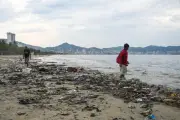 Recolectan 20 toneladas de basura en playas de Acapulco