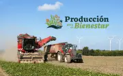 Requisitos para recibir el pago de Producción para el Bienestar 2026