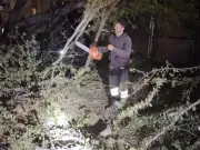 San Pedro Tlaquepaque intensifica operativo de poda y retiro de árboles ante temporada de lluvias