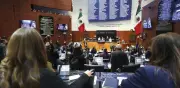 Senado aprueba reforma para agilizar cobranza de créditos fiscales con 95 votos
