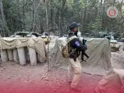 Sheinbaum exige a EU esclarecer participación de agentes de la CIA en operativos en Chihuahua