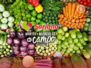 Soriana lanza ofertas en frutas, verduras y carnes este 14 y 15 de abril