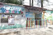 Suspenden clases en escuela de Guerrero por infestación de garrapatas