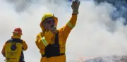 Temporada de Incendios Forestales 2026 Alcanza Punto Crítico con 38 Siniestros Activos