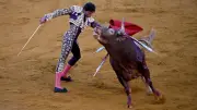Torero Andrés Roca Rey sufre grave cornada en Sevilla y es operado de emergencia
