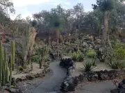 UNAM celebra XXI Día Nacional de Jardines Botánicos con fiesta de las plantas