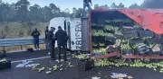 Volcadura de camión cargado de mangos 'ahorca' la México-Cuernavaca rumbo a CDMX