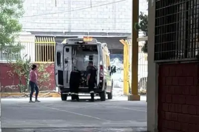 Abanico se desprende y lesiona a dos niños en accidente doméstico