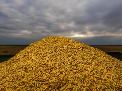 Agricultura impulsa desarrollo del campo mexicano y garantiza alimentos