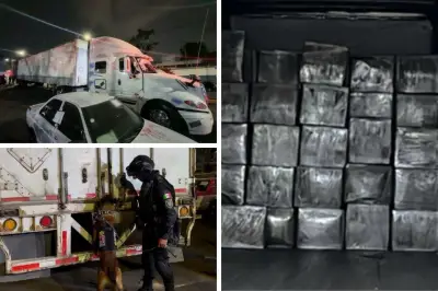 Aseguran camión con mil 278 kilos de mariguana en carretera
