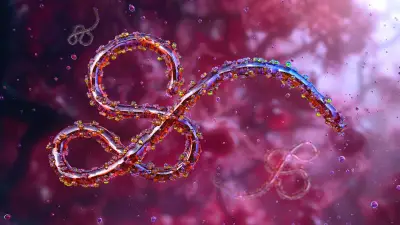 Brote de ébola: emergencia internacional, ¿puede convertirse en pandemia?
