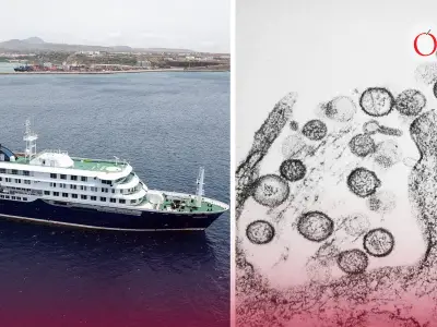 Brote de hantavirus en crucero: OMS confirma tres muertes