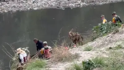 Buscan a niña de 11 años en Gran Canal; hallan cadáver de mujer