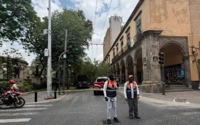 Cae árbol en la Rotonda de Guadalajara; cierran calles y piden rutas alternas
