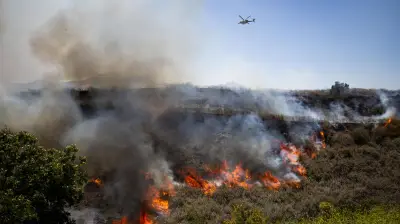 California en alerta: incendio forestal arrasa 338 hectáreas y desaloja a miles