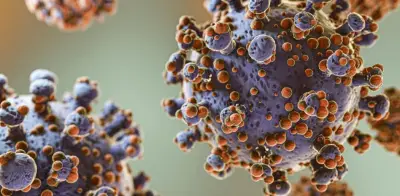 Cancelan vuelo para evacuar a médico con hantavirus en Canarias