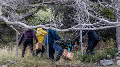Científicos cazan roedores en Ushuaia por brote de hantavirus en crucero